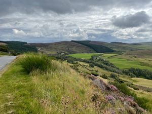 Two lane road winding along rolling green hills dotted with heather on a sunny day.'