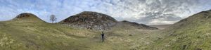 Panorama of two hills along Hadrian's wall with a tall sycamore in the middle of the valley between them